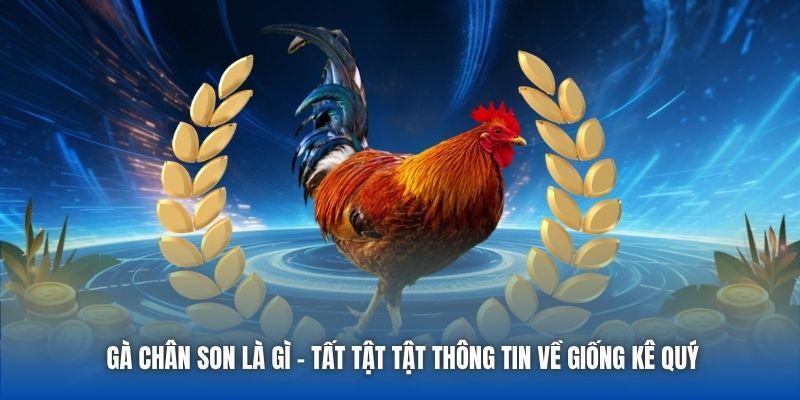 Gà Chân Son Là Gì - Tất Tật Tật Thông Tin Về Giống Kê Quý