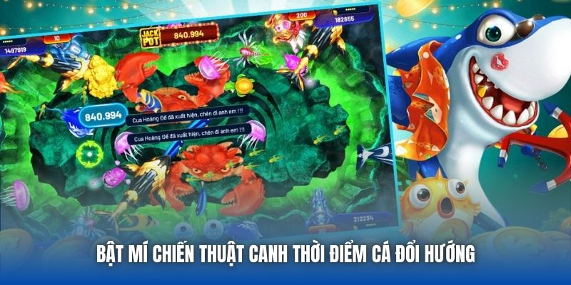 Bật mí chiến thuật canh thời điểm cá đổi hướng