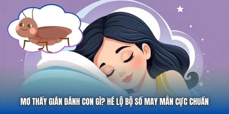 Mơ Thấy Gián Đánh Con Gì? Hé Lộ Bộ Số May Mắn Cực Chuẩn